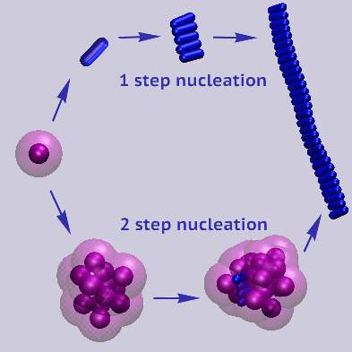 Two step nucleation process