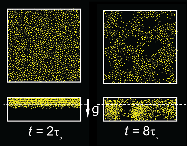particles sedimenting in a planar slit